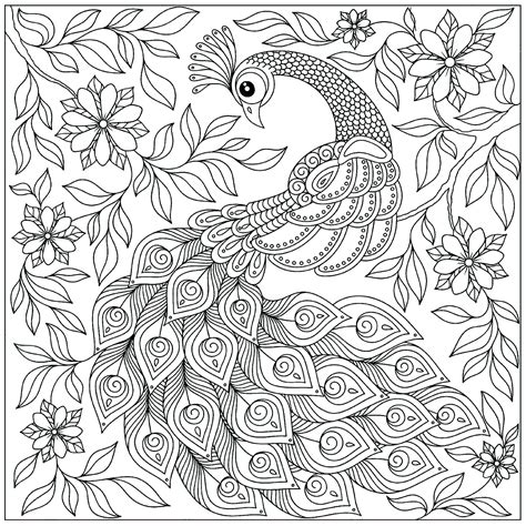 孔雀畫畫|《美麗孔雀 Peacock》兒童著色畫｜Coloring for 